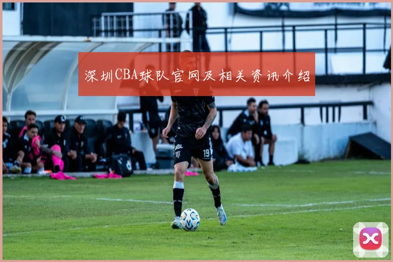 深圳CBA球队官网及相关资讯介绍